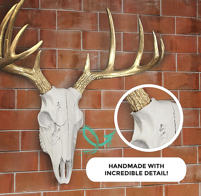 Property Records of California - Antlers and deer skull for your man cave 