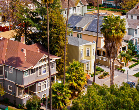 Houses in California with palms