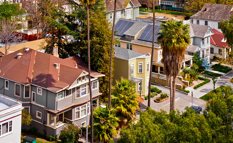 Houses in California with palms