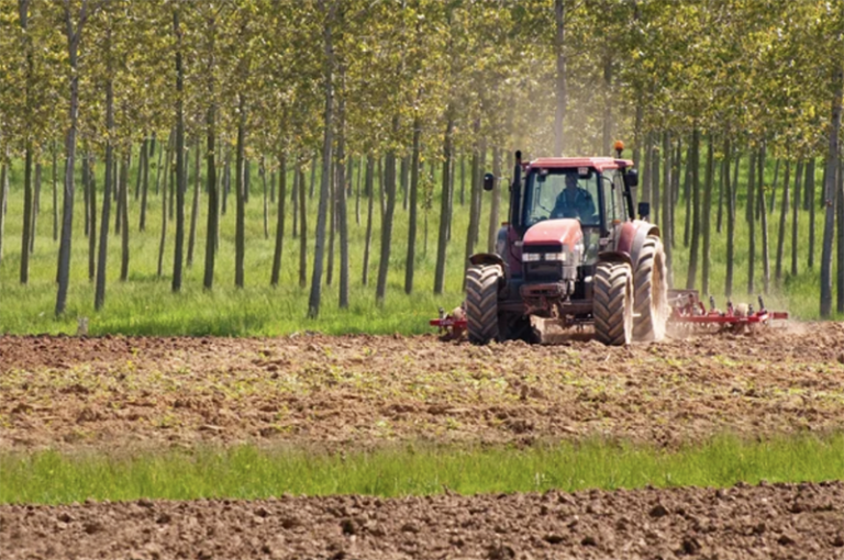 California's Agricultural Real Estate Deep Dive into Farmland, Ranches
