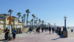 What’s Driving San Diego’s High Rent Prices? (VIDEO) - Property Records of California